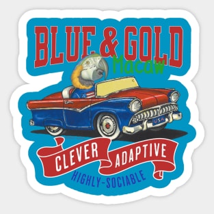 Funny and cute African Blue & Gold Macaw bird driving a classic vintage car with red white and blue flags tee Sticker